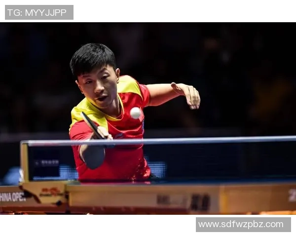 杭州乒乓球队比赛经验引发热议球迷与专家各执己见探讨争议背后真相